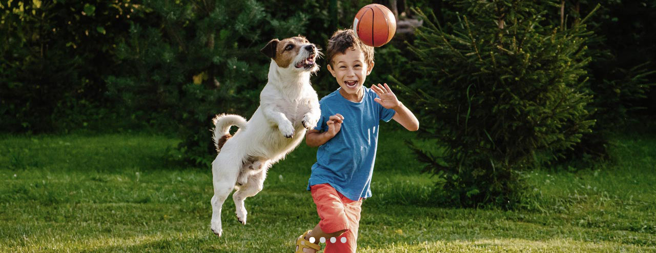 Bild zeigt spielendes Kind mit Hund